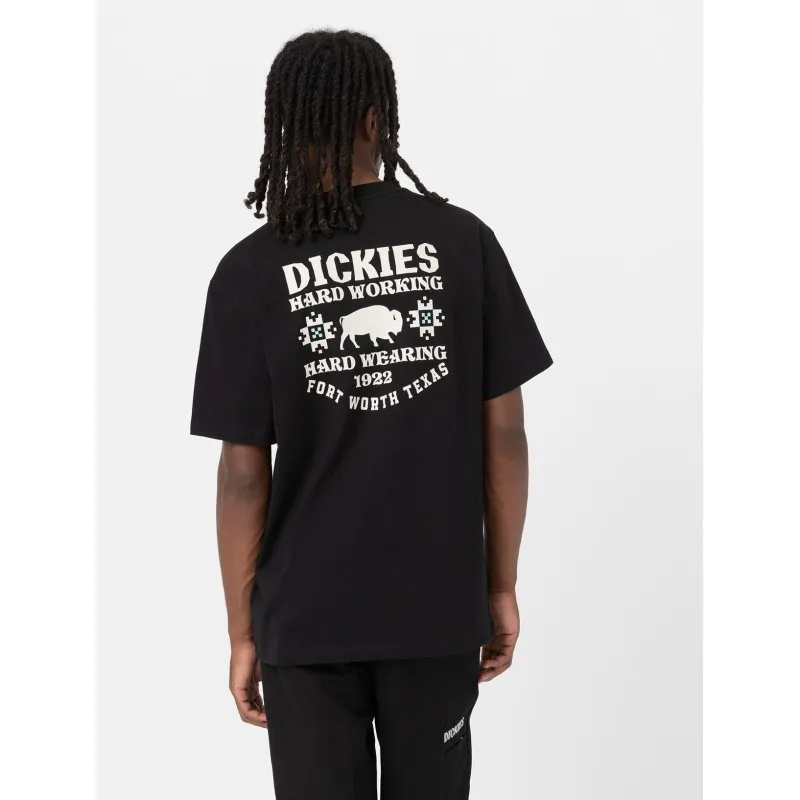 DICKIES HAYS TEE SS BLACK