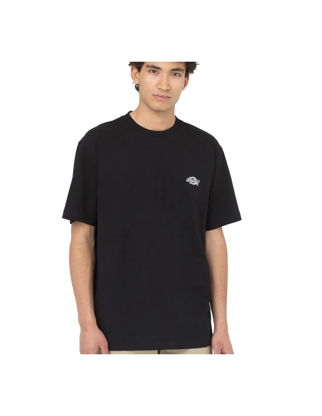 DICKIES SUMMERDALE SS TEE BLACK