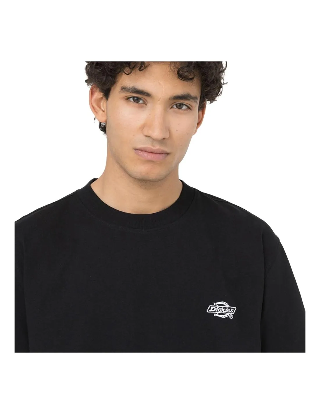 DICKIES SUMMERDALE SS TEE BLACK