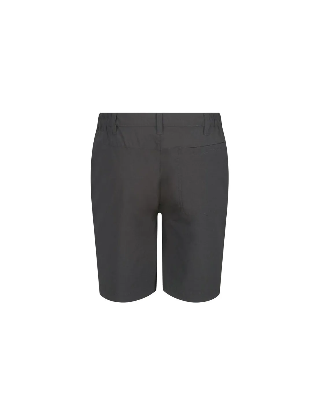 Pantalones de Trekking Regatta Highton