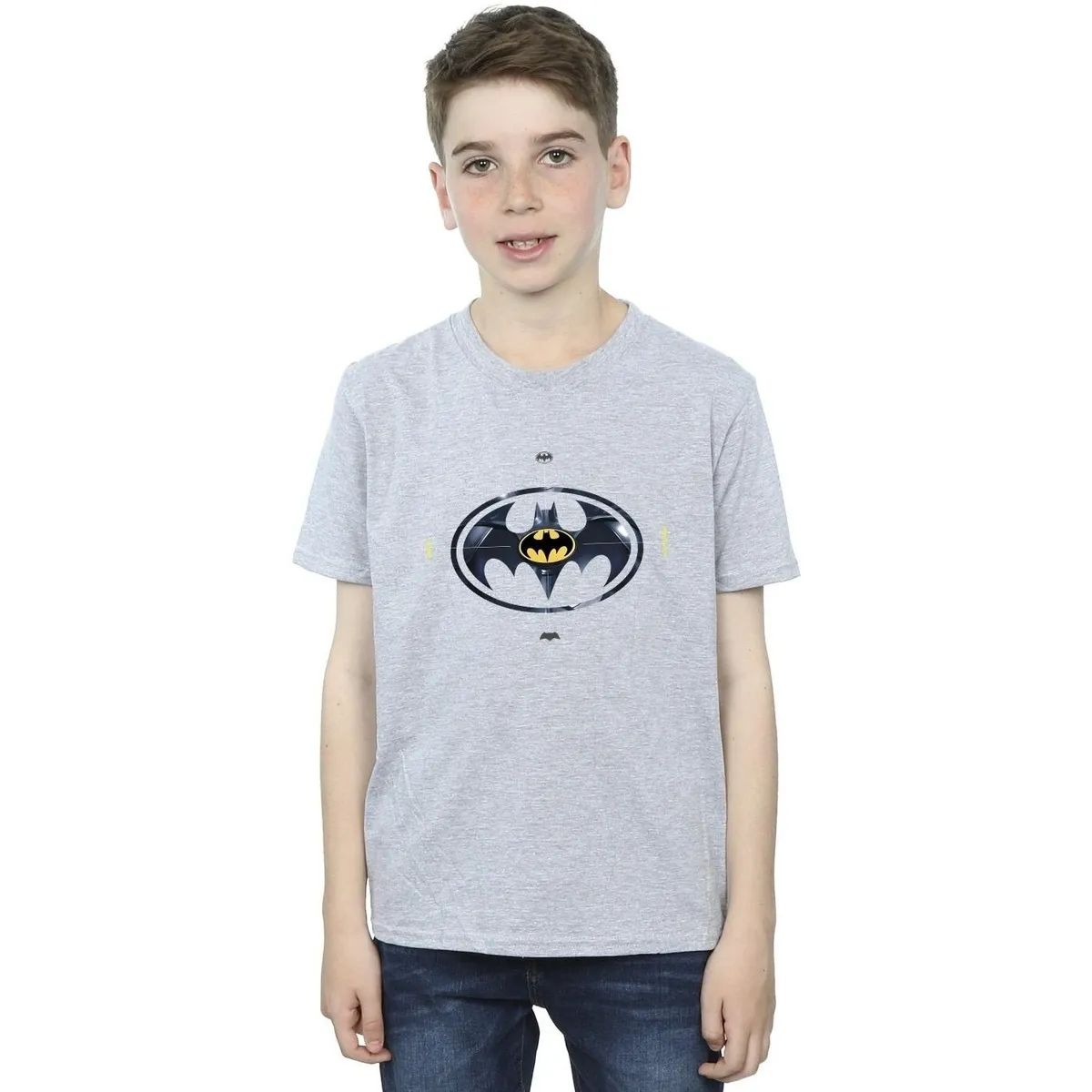 The Flash Batman Metal Logo